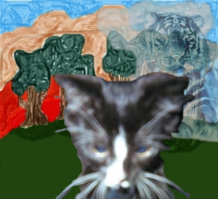 Altered Picture of Meela, the feroucious kitty...